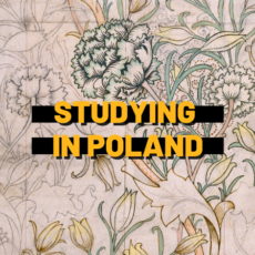 The title of the article in bold yellow letters against a drawing of flowers.