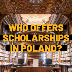 Library in a university. Who offers scholarships in Poland?